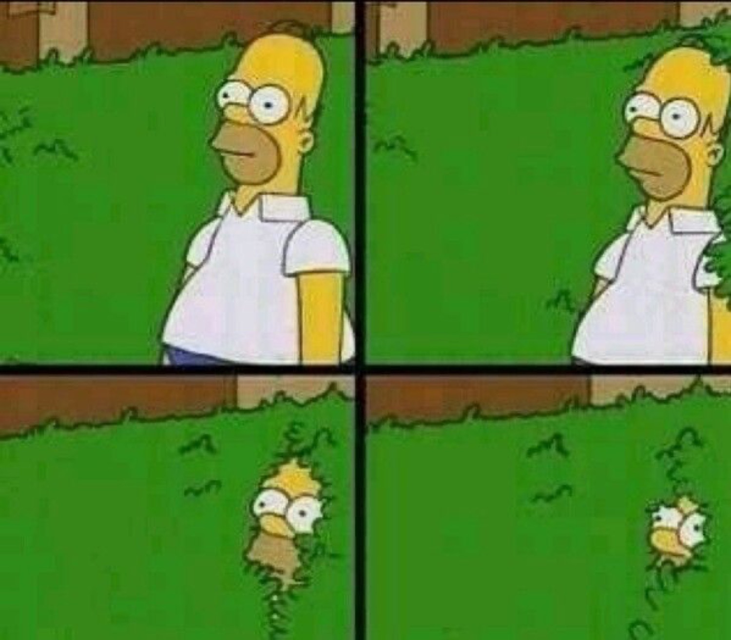 Classic four-panel Homer Simpson slowly backing into a hedge until he disappears