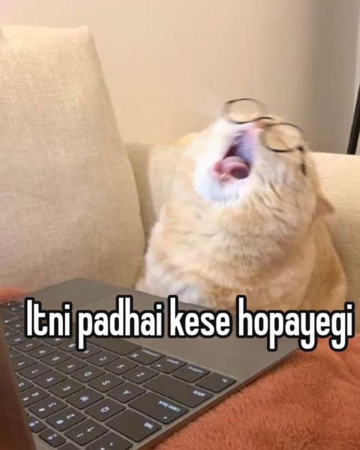 Cat in glasses yawning at a laptop: 'Itni padhai kese hopayegi' (how will I ever study this much)