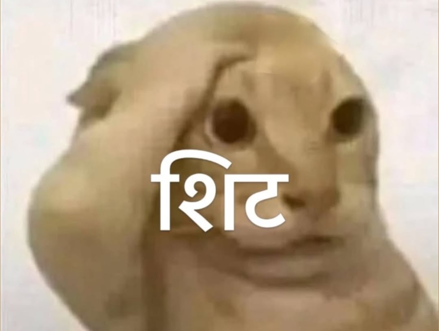 Squished creature covering its face: 'शिट' (shit)