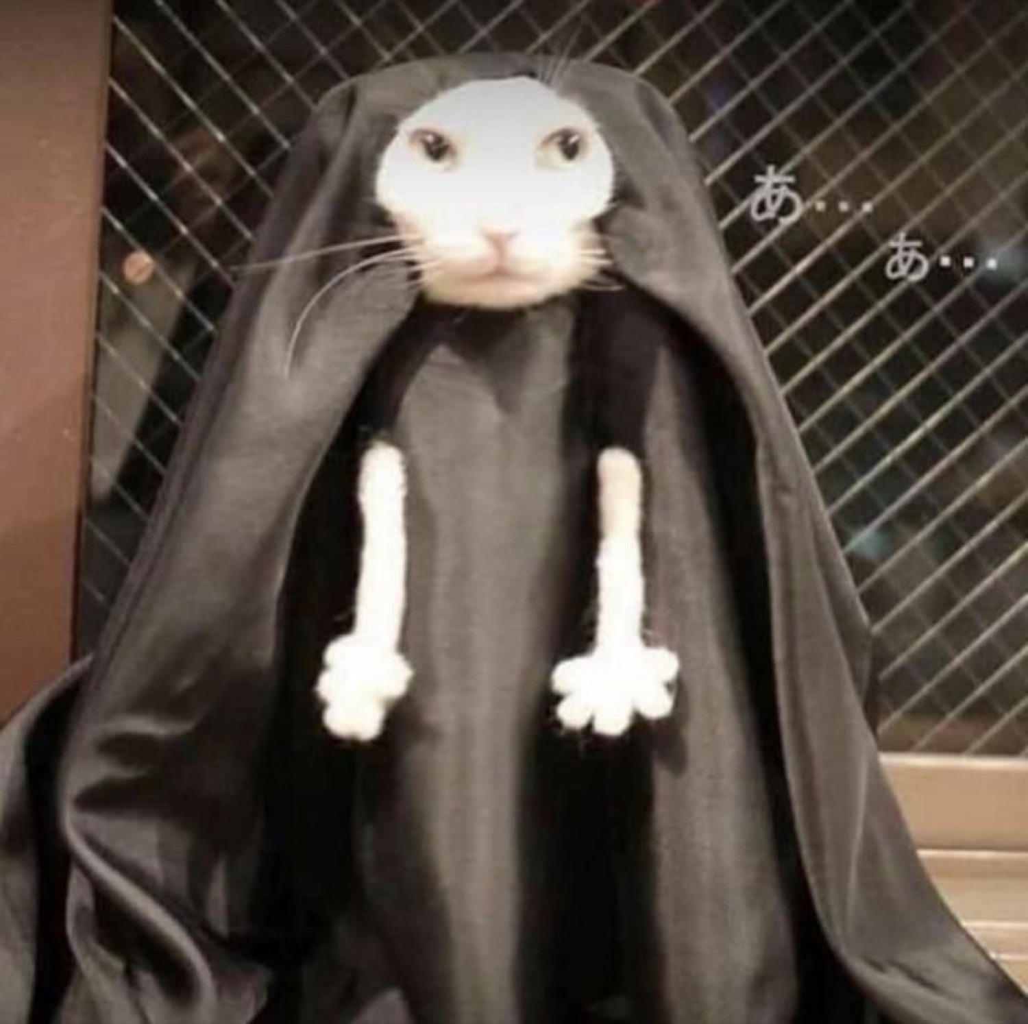 White cat's face peeking from a grey hooded cloak with fake skeleton hands, Japanese 'あ...' beside it