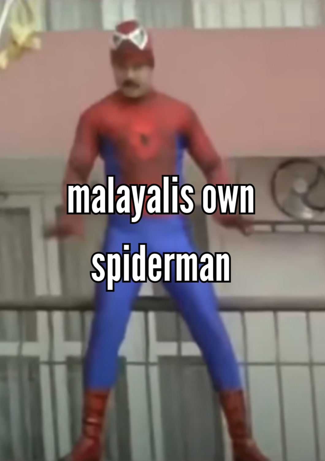Man in a Spider-Man suit: 'malayalis own spiderman'