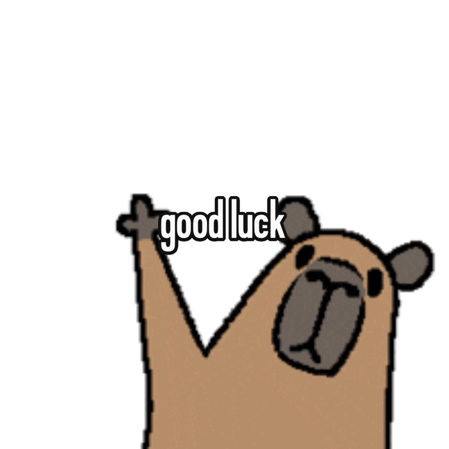 Capybara cartoon with crossed fingers raised: 'good luck'
