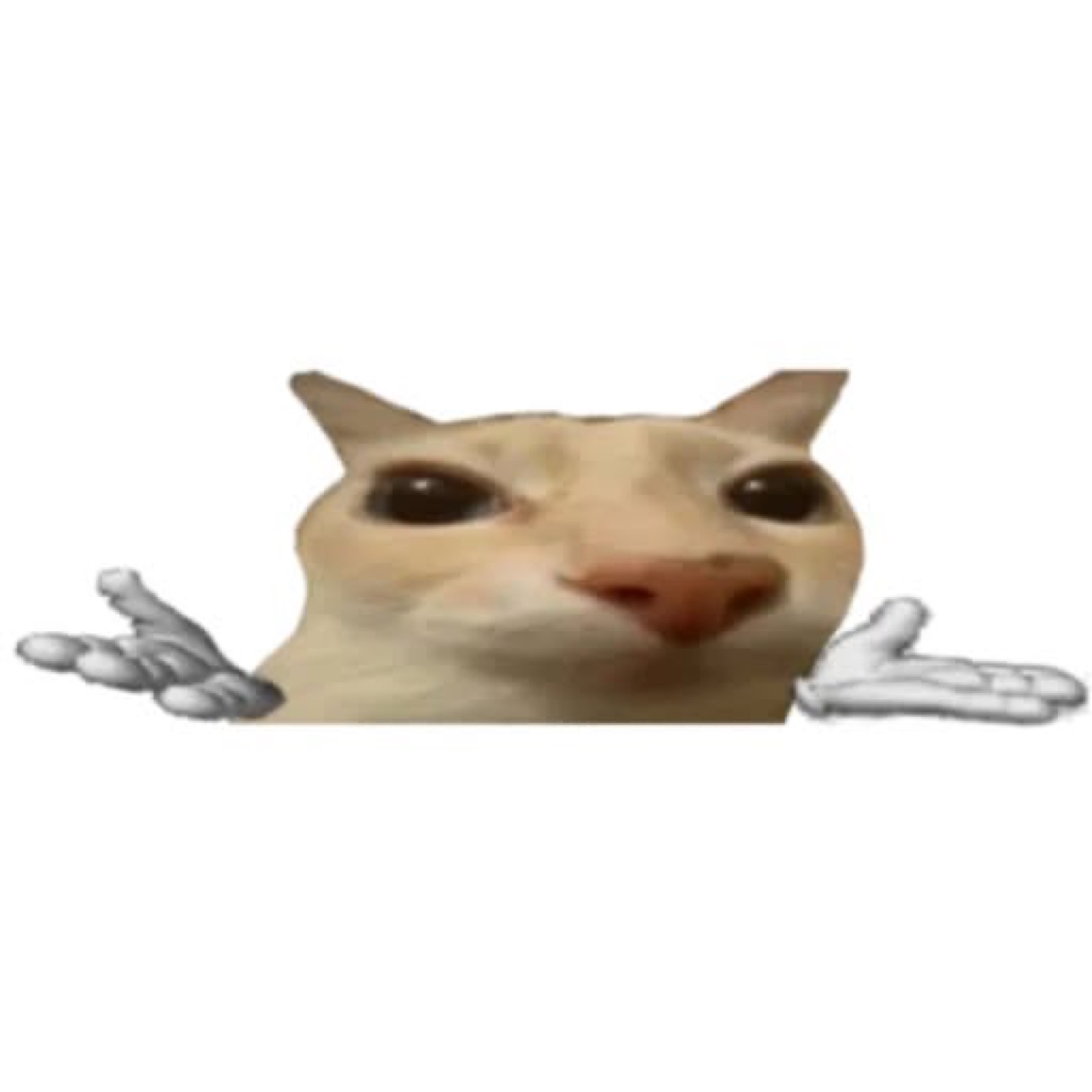 Cat face with tiny cartoon hands shrugging