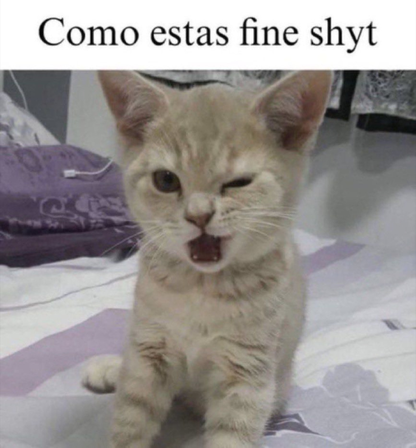 Cream kitten mid-wink with its mouth open, captioned 'Como estas fine shyt'