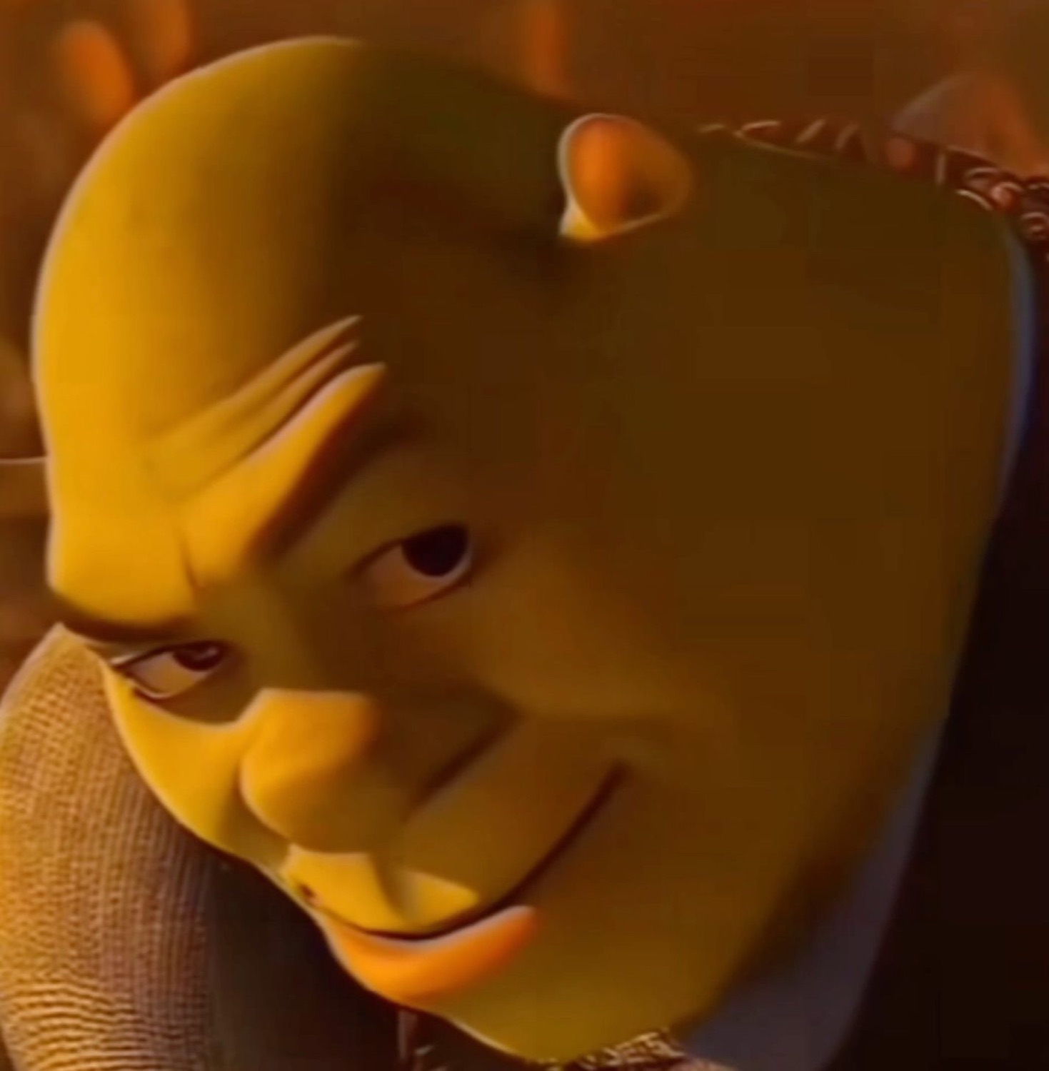 Shrek tilting his head with a sly, smug little grin