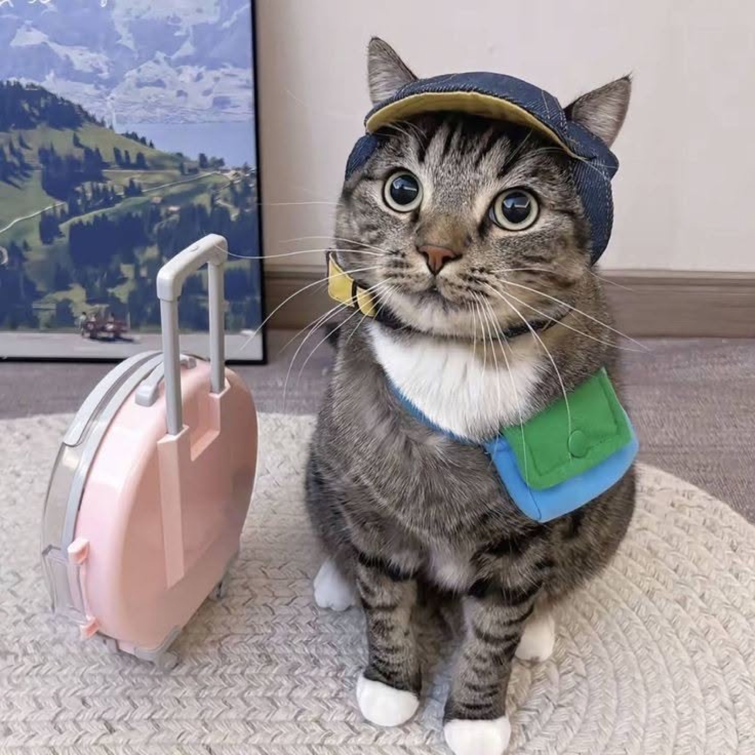 Cat in a cap with a travel pouch next to a pink suitcase