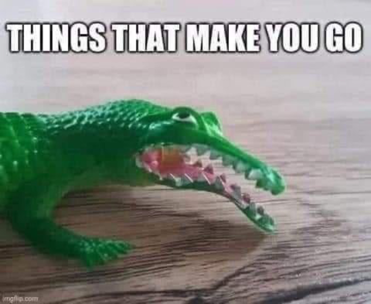 Green toy crocodile with its mouth open: 'THINGS THAT MAKE YOU GO'