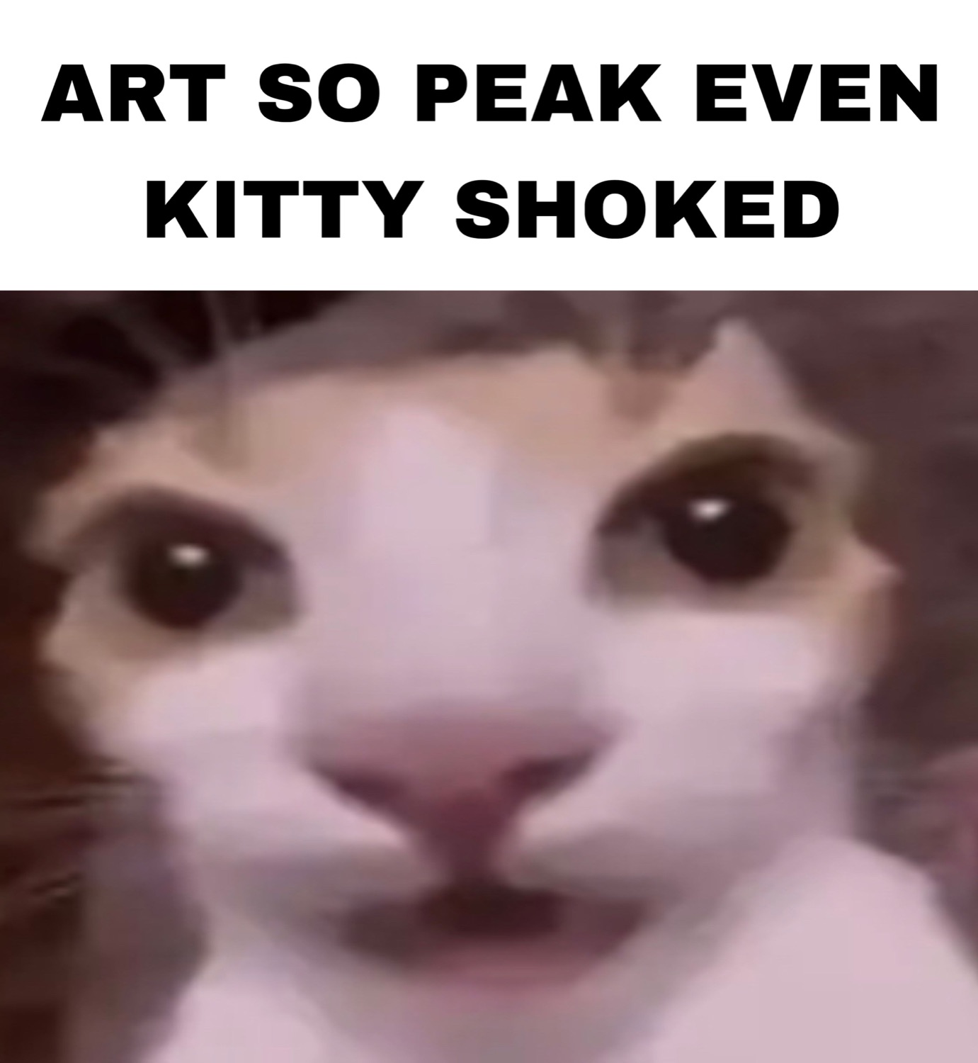 Blurry wide-eyed cat staring at the camera captioned 'ART SO PEAK EVEN KITTY SHOKED'