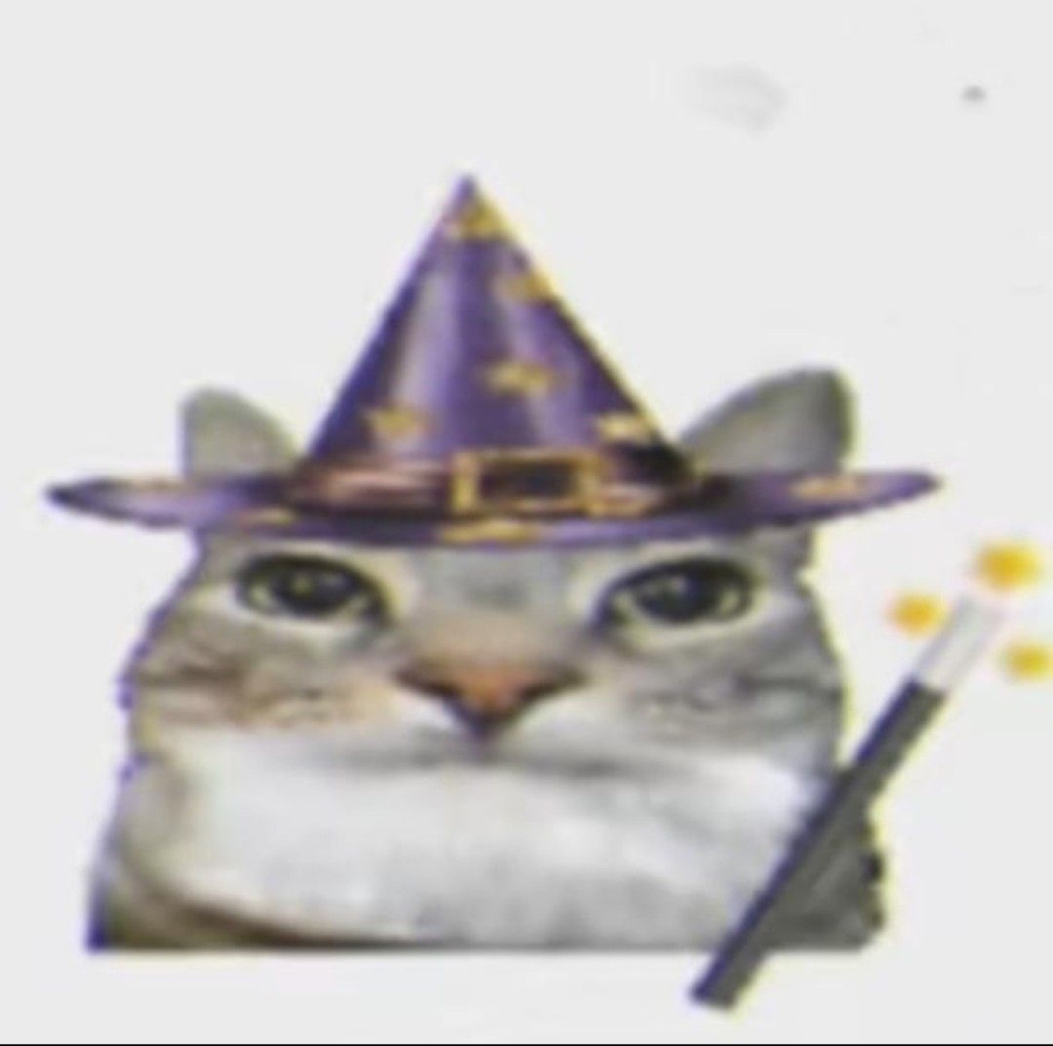 Cat in a wizard hat holding a wand with a smug squint