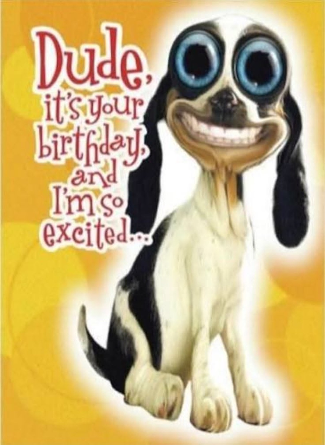 Greeting-card dog with a huge creepy grin: 'Dude, it's your birthday and I'm so excited...'