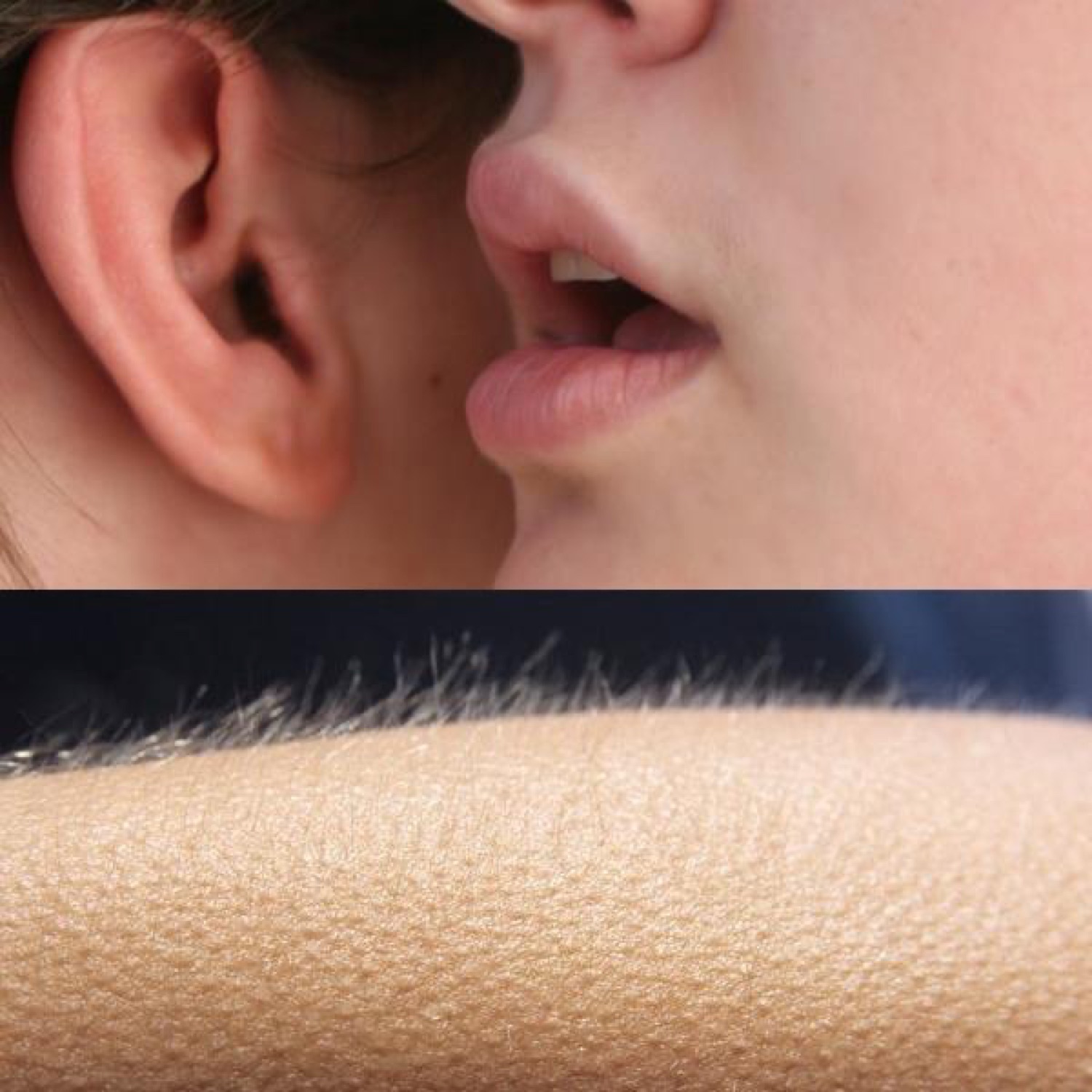 Someone whispering into an ear paired with a shot of goosebumps rising on skin