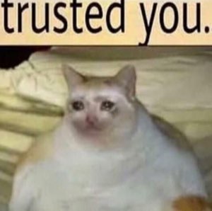 Crying cat under the words 'trusted you.'