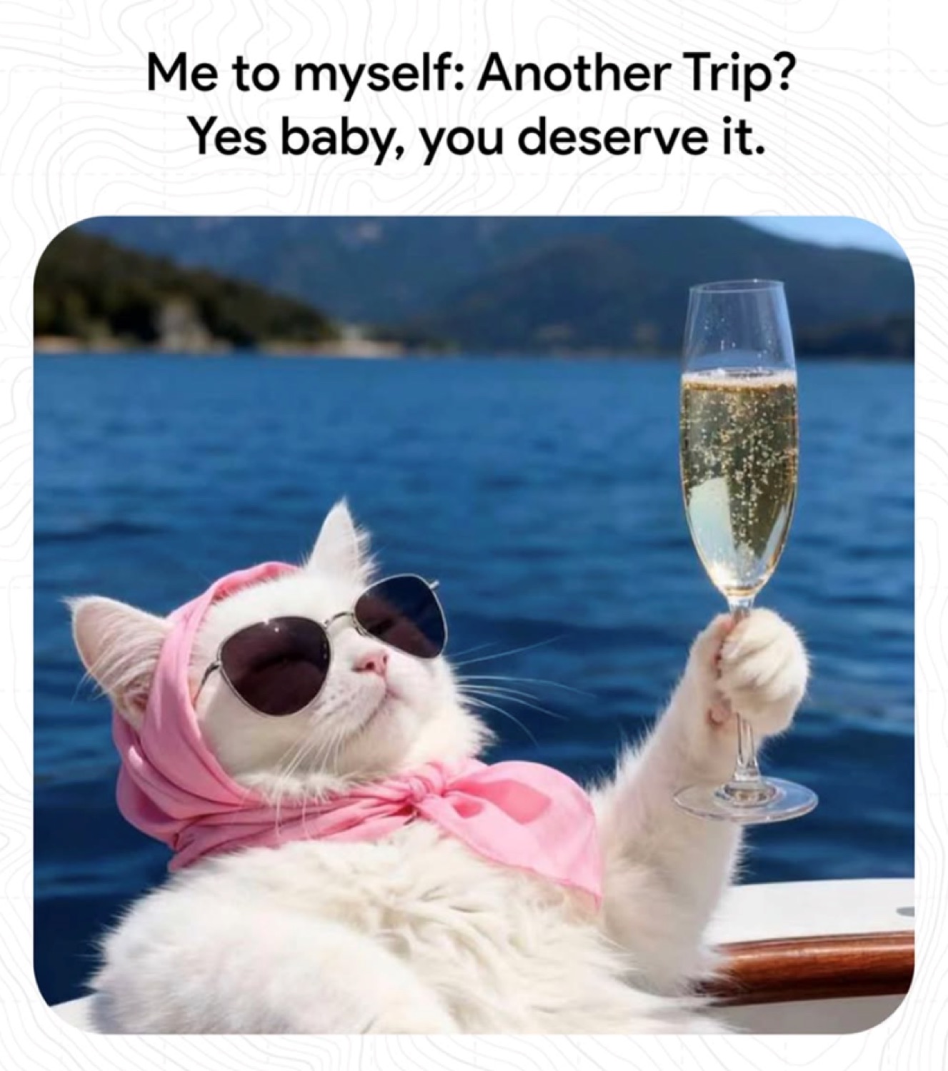 White cat in sunglasses and a headscarf toasting champagne on a boat: 'Me to myself: Another Trip? Yes baby, you deserve it.'