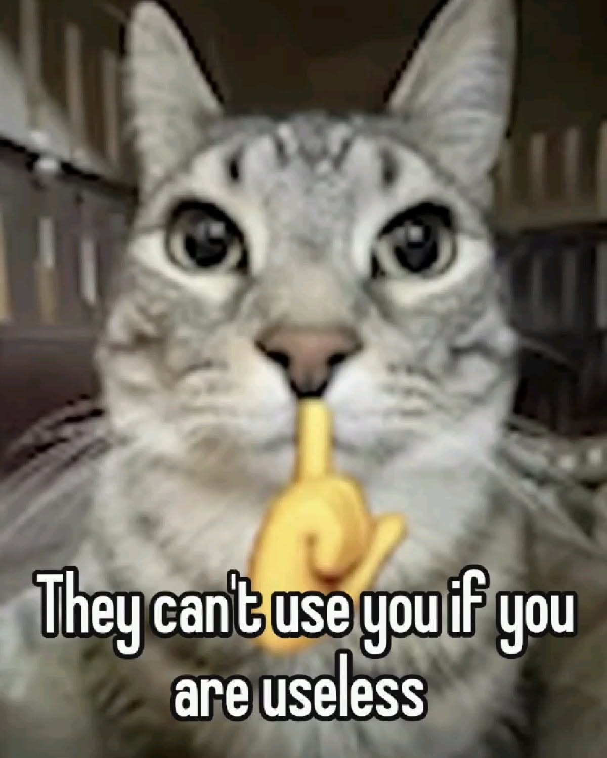 Grey tabby cat staring straight at camera holding up a middle-finger emoji, text 'They can't use you if you are useless'