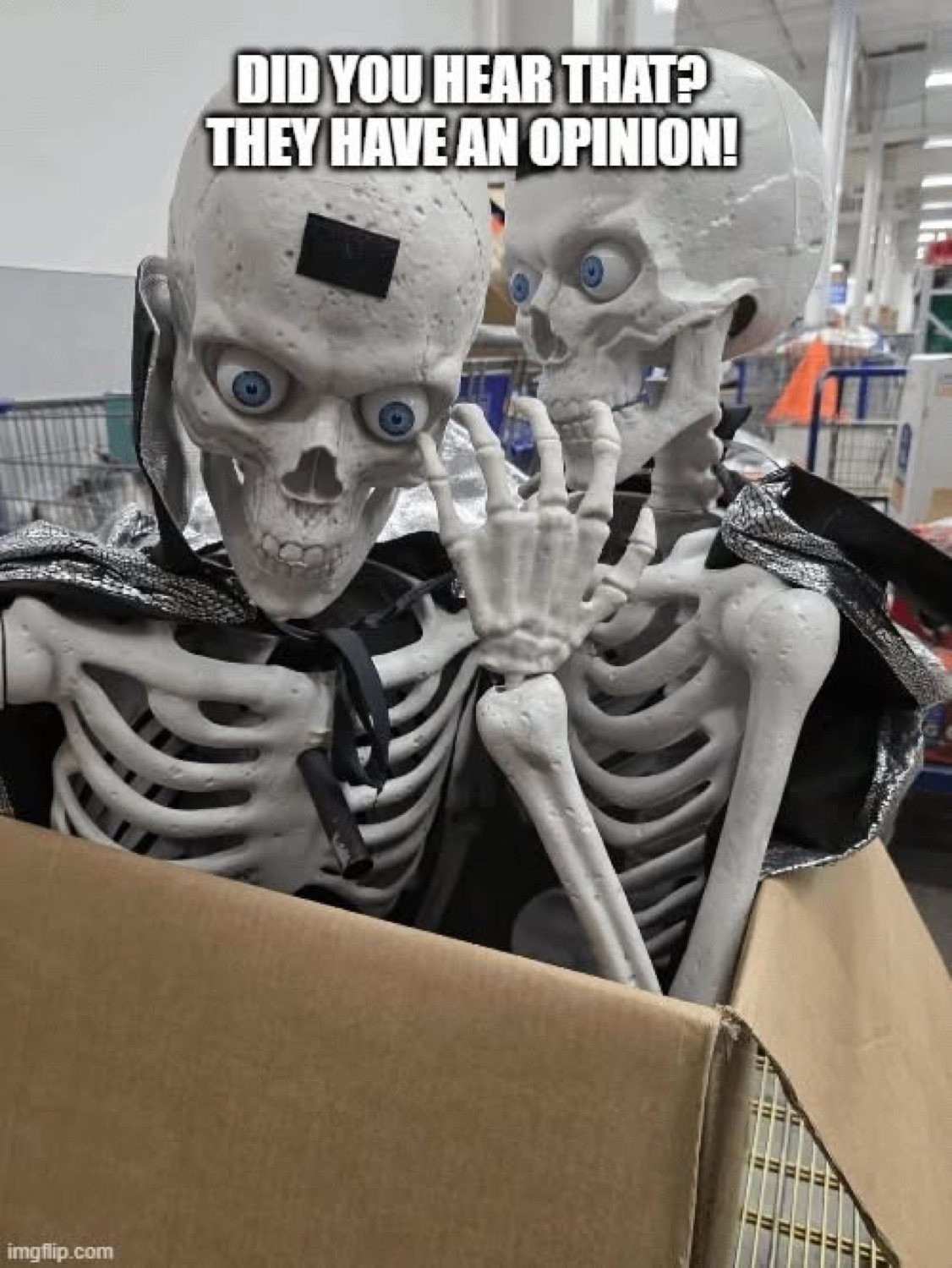 Skeleton decorations in a box under 'DID YOU HEAR THAT? THEY HAVE AN OPINION!'