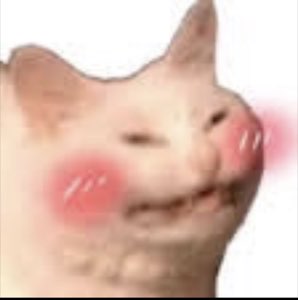 White cat face cutout with rosy flushed cheeks and a coy little smile