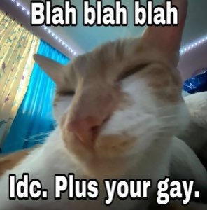 White cat with eyes squeezed shut captioned 'Blah blah blah / Idc. Plus your gay.'