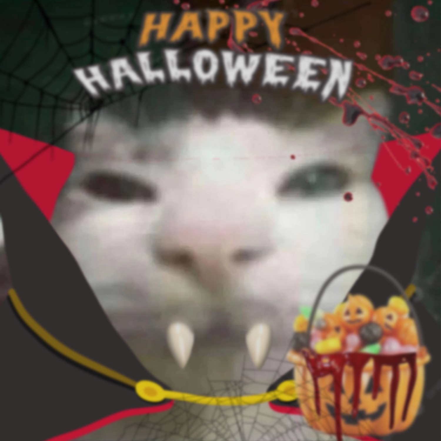 White cat with vampire fangs edited on under 'HAPPY HALLOWEEN'