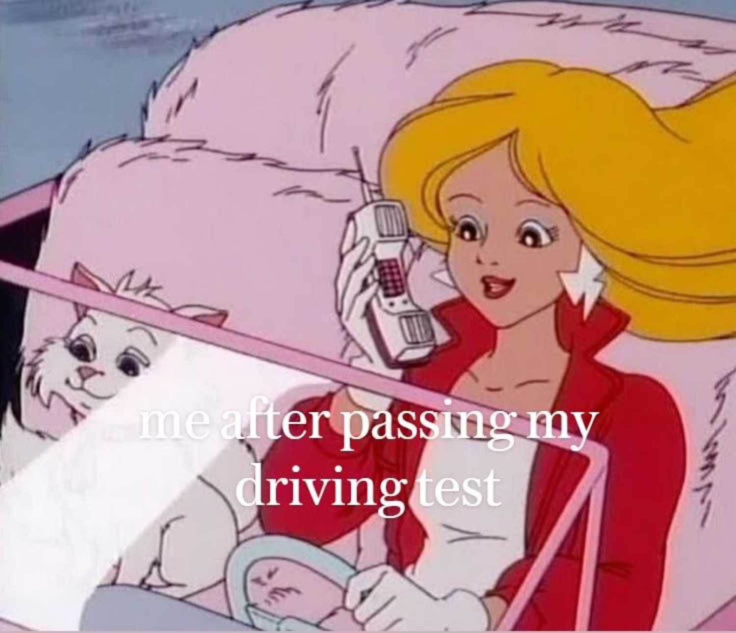 Barbie-style cartoon driving with a cat: 'me after passing my driving test'