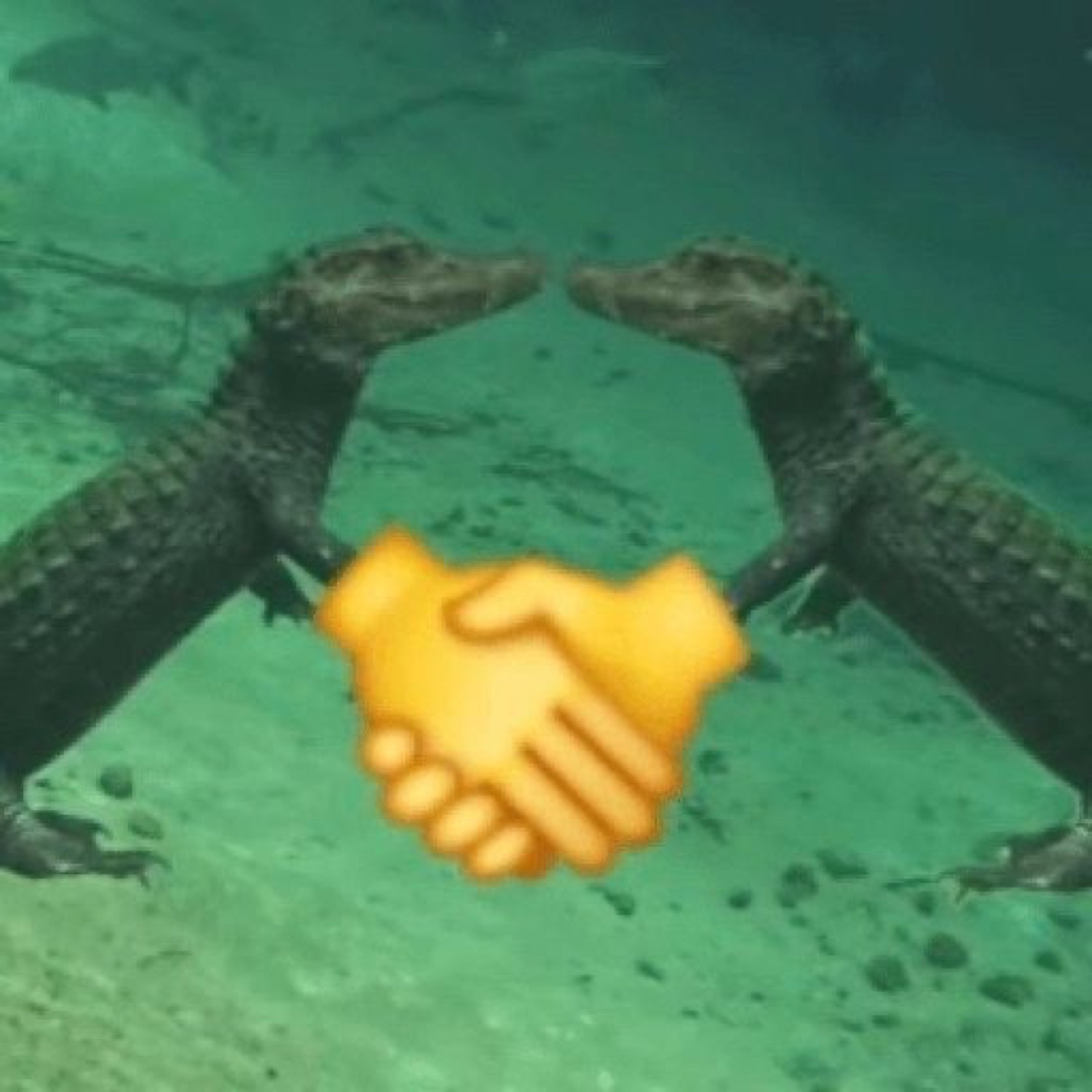 Two alligators underwater reaching toward each other over a handshake emoji