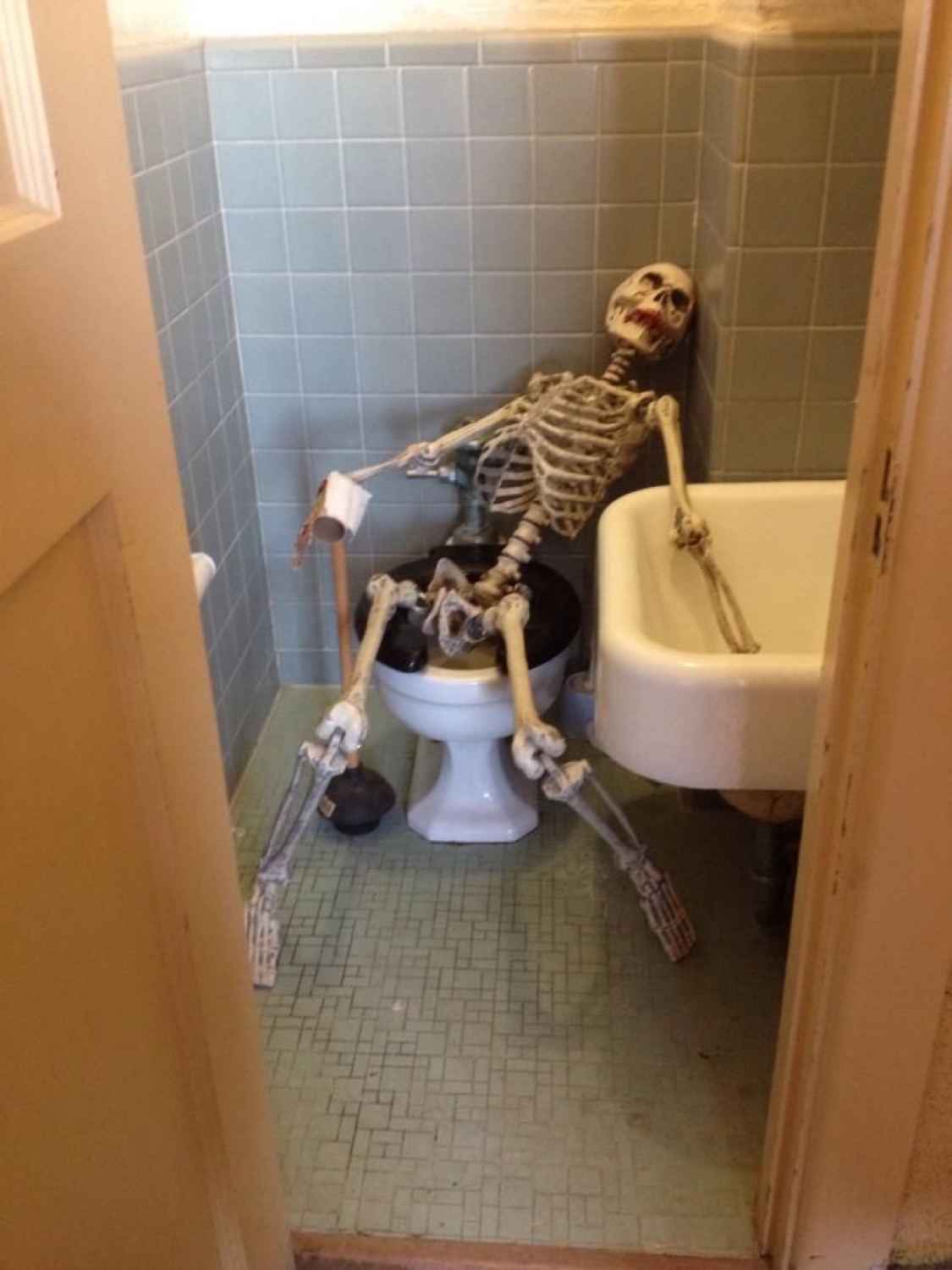 Skeleton slumped on a toilet in a small bathroom