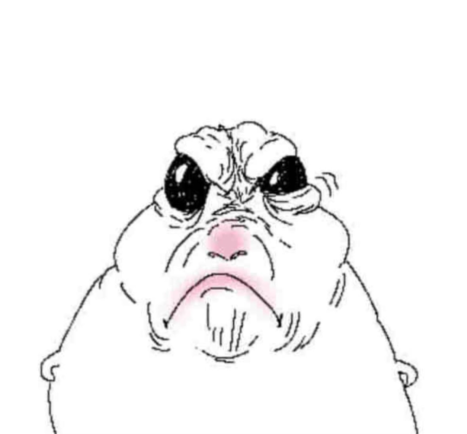 Cartoon walrus face with furrowed brow and clenched jaw radiating pure irritated energy