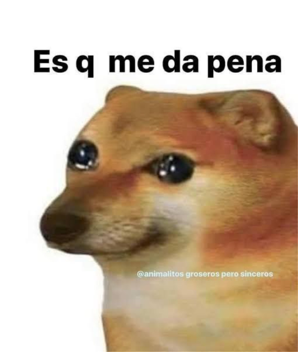 Teary-eyed Cheems doge captioned 'Es q me da pena'