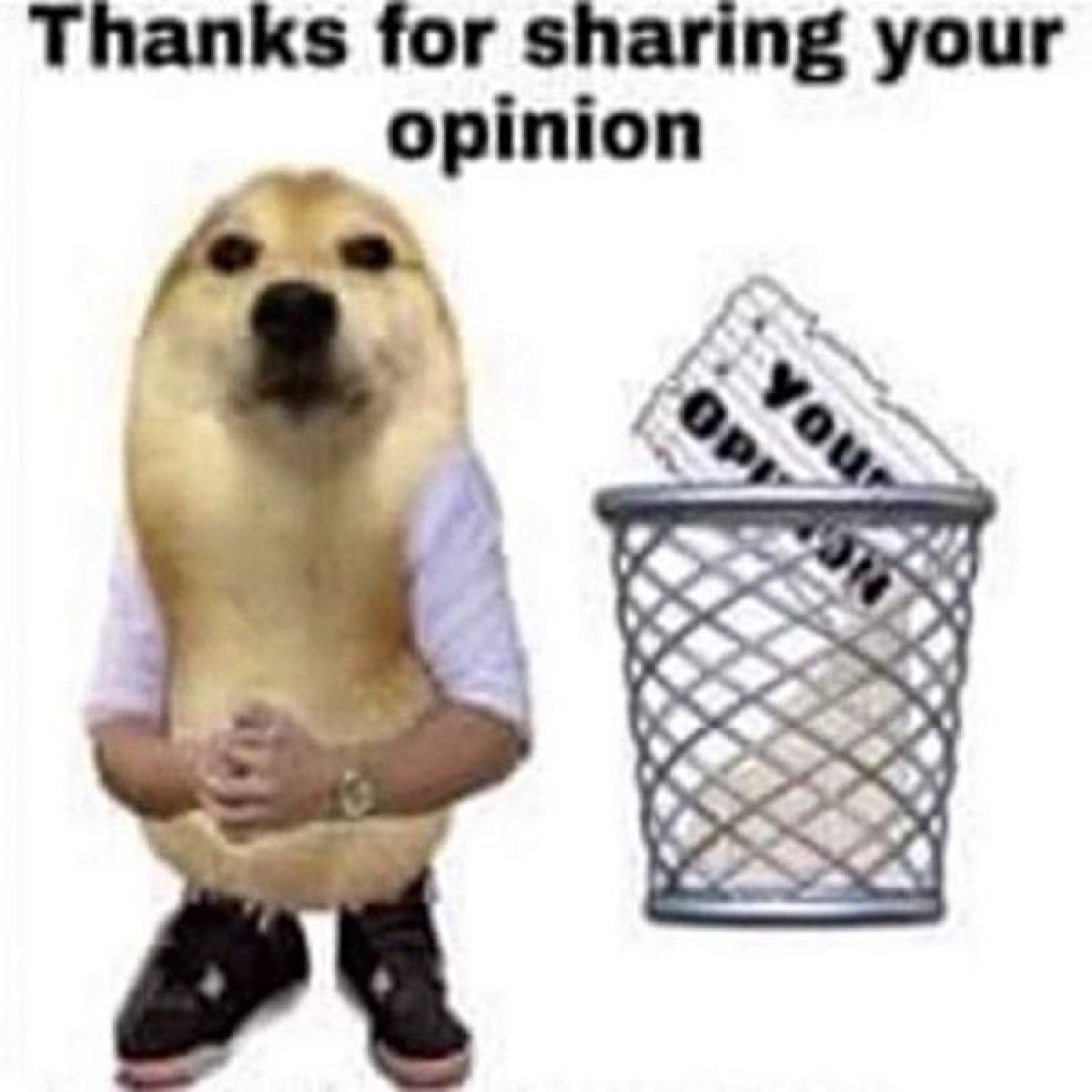 Cheems dog in a shirt tossing your opinion in the trash, captioned 'Thanks for sharing your opinion'