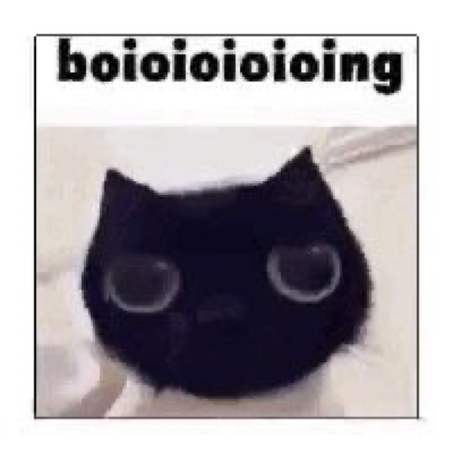 Round black cat with huge glassy eyes under 'boioioioing'