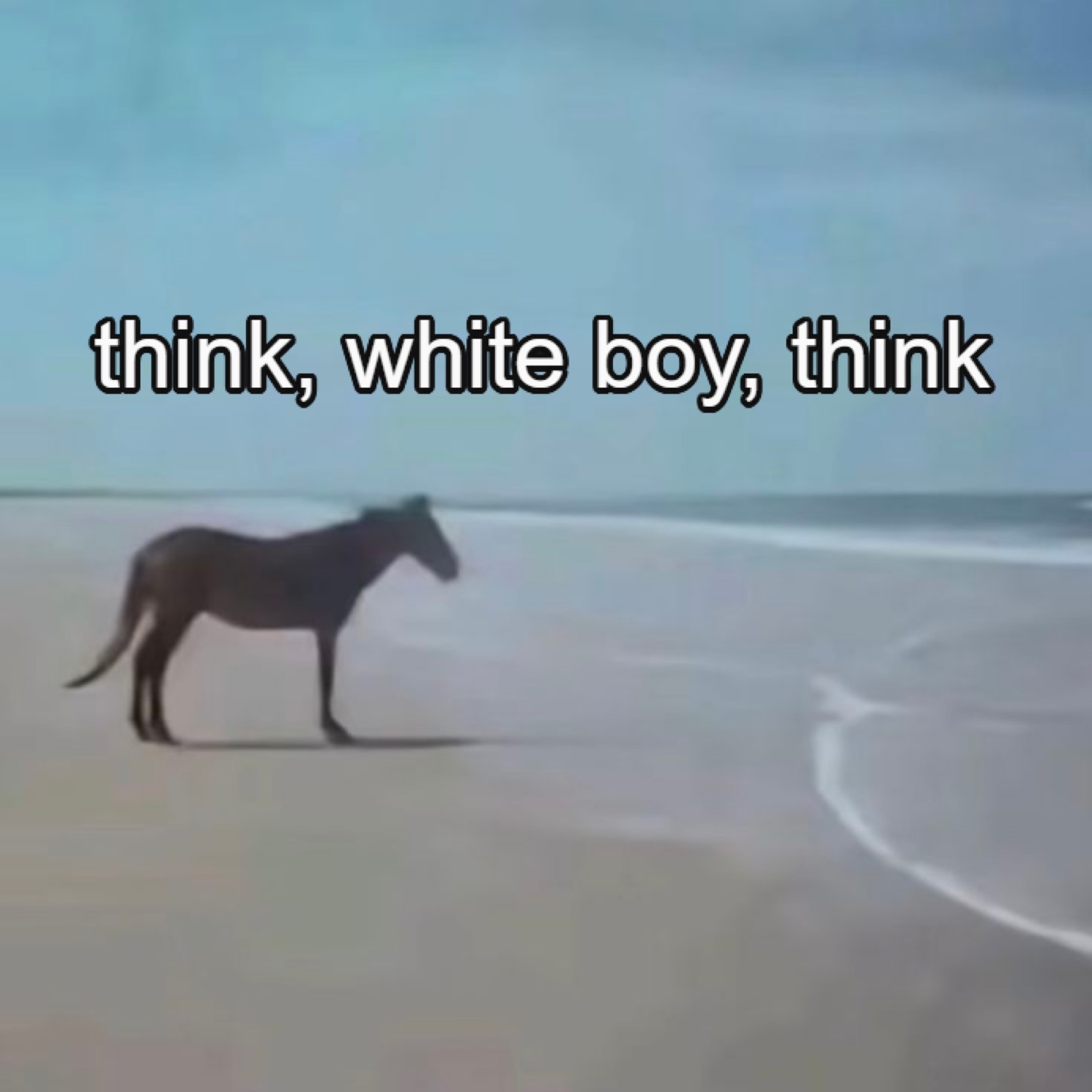 Lone horse standing on a beach captioned 'think, white boy, think' with maximum energy