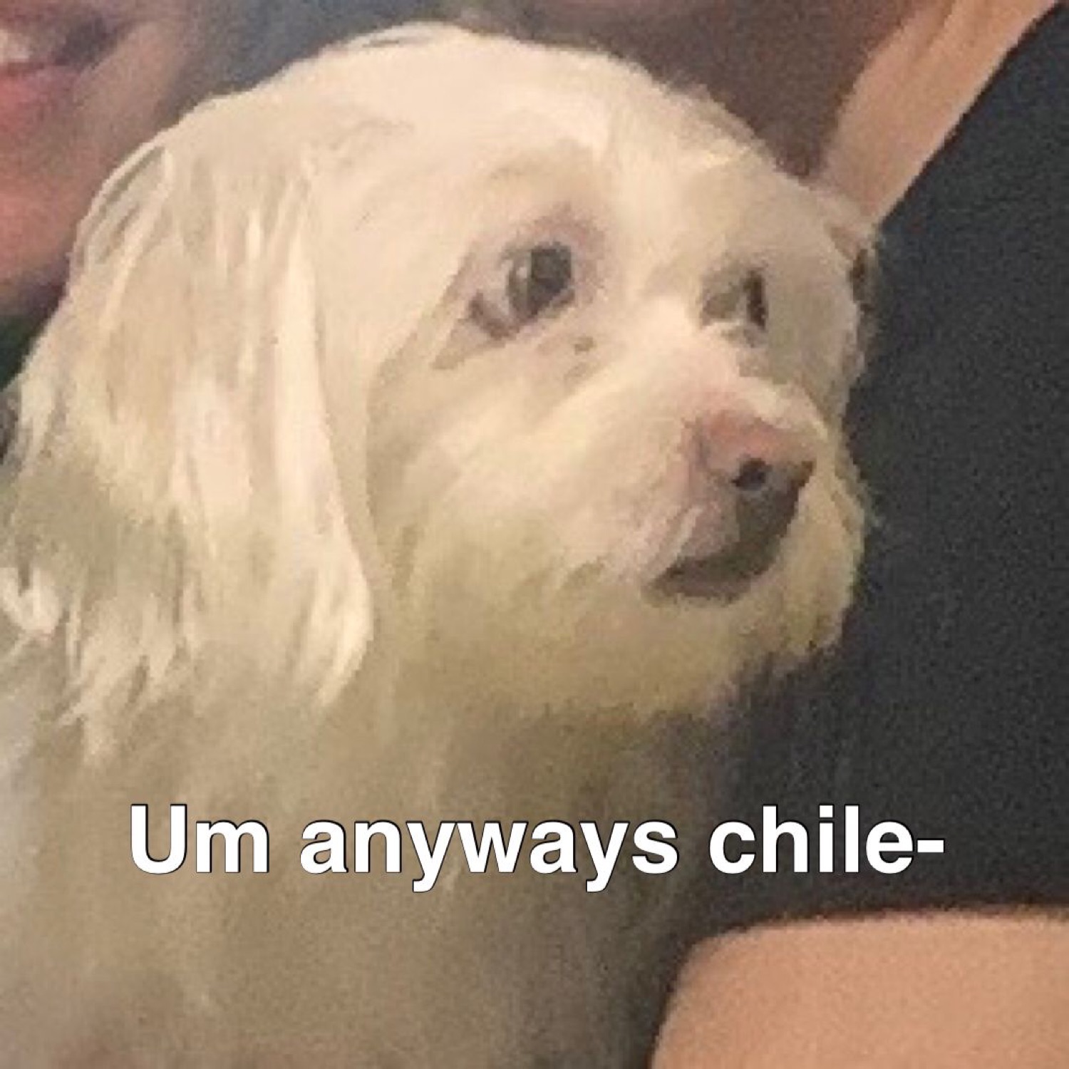 Fluffy white dog glancing off to the side awkwardly, captioned 'Um anyways chile-'