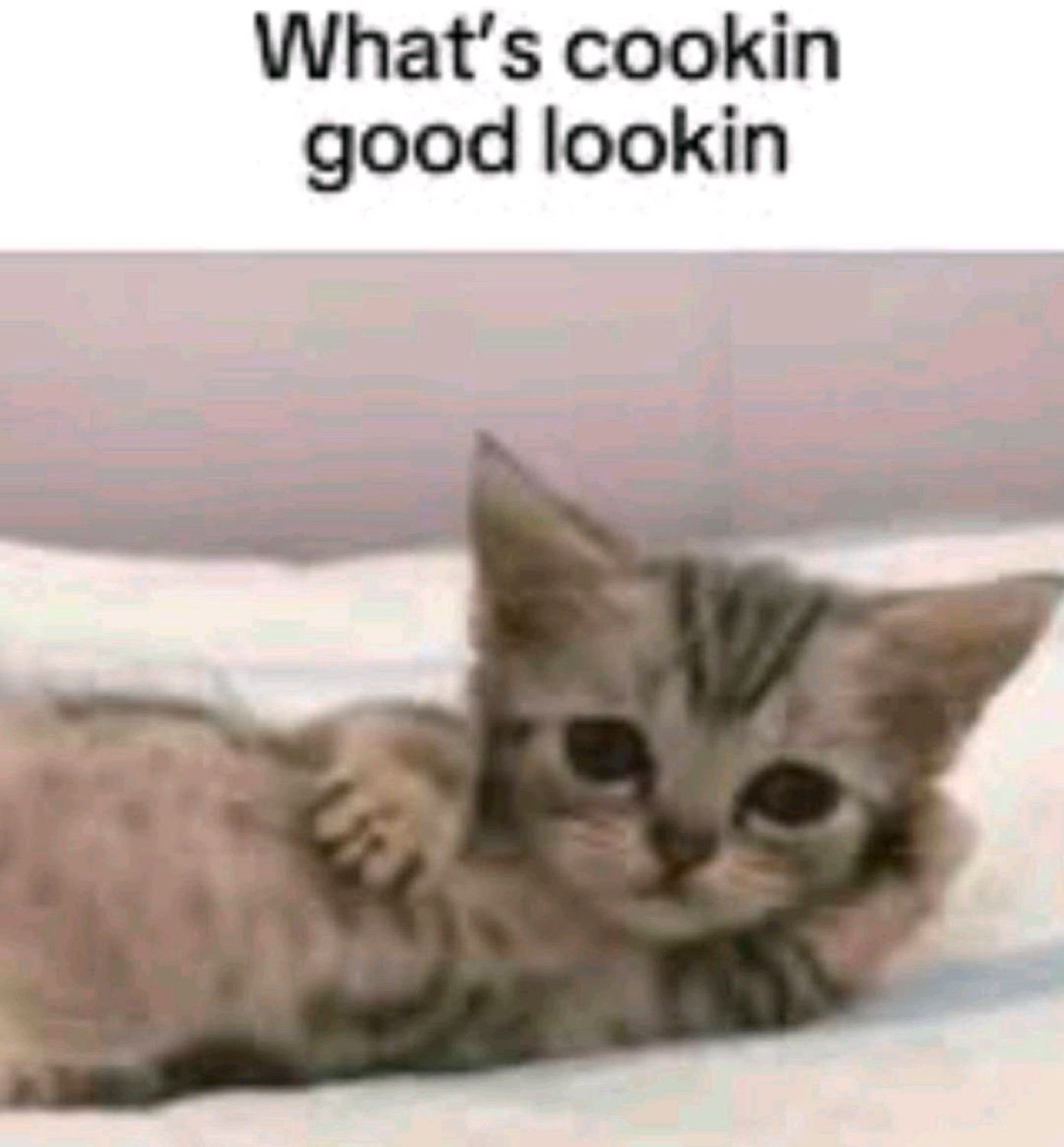 Sleepy tabby kitten lounging captioned 'What's cookin good lookin'