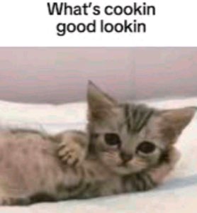 Sleepy tabby kitten lounging captioned 'What's cookin good lookin'