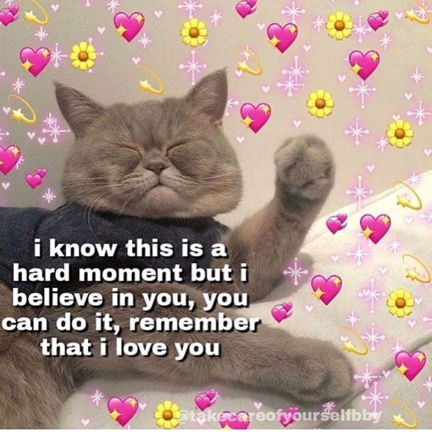 Content grey cat lying back with paw raised, surrounded by hearts and flowers, sending love