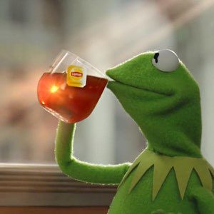 Kermit the Frog sipping Lipton tea with serene side-eye energy