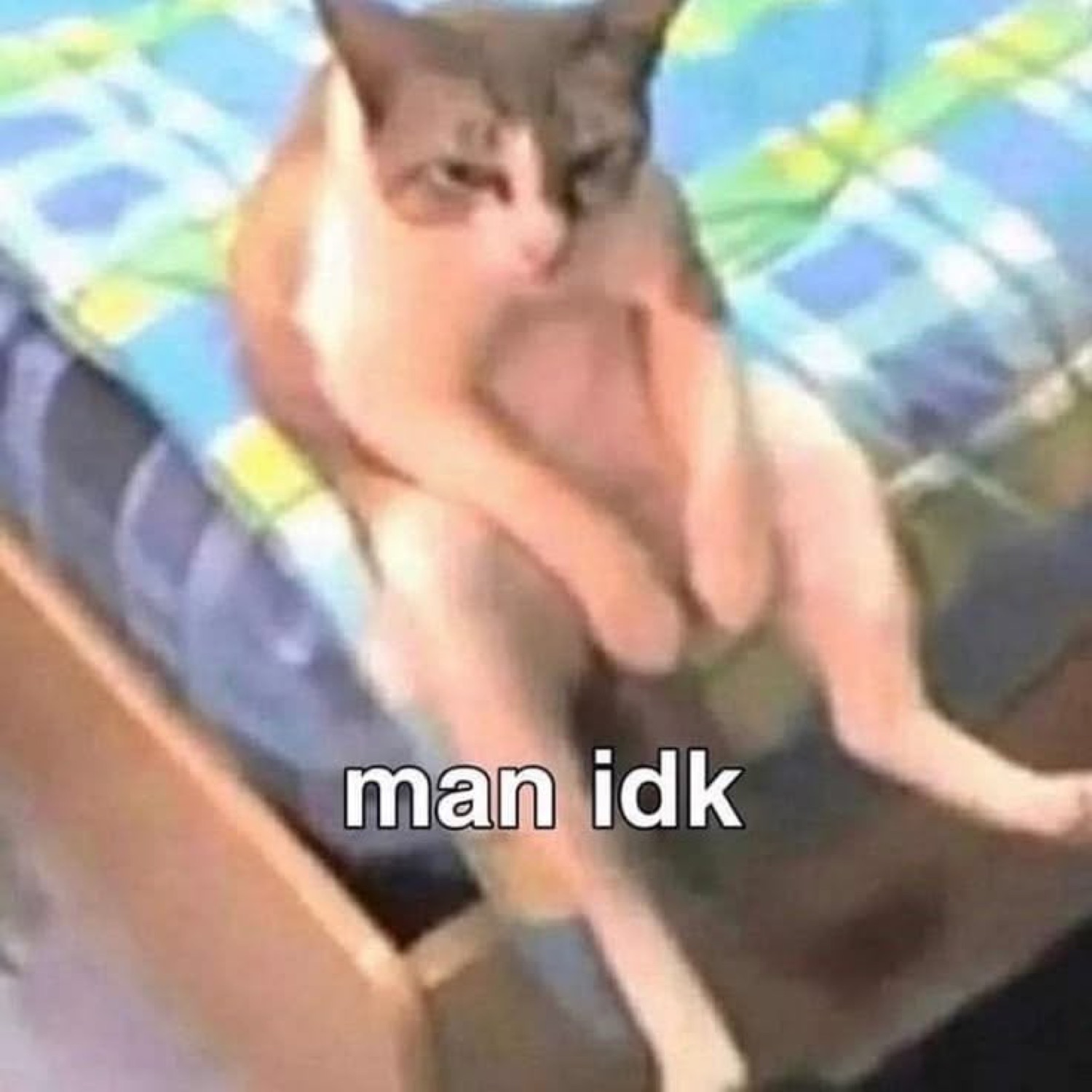 Cat slouched back on a bed looking clueless, captioned 'man idk'
