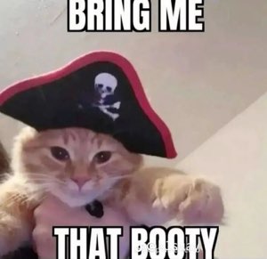 Orange cat in a pirate hat with a deadpan stare captioned 'Bring me that booty'