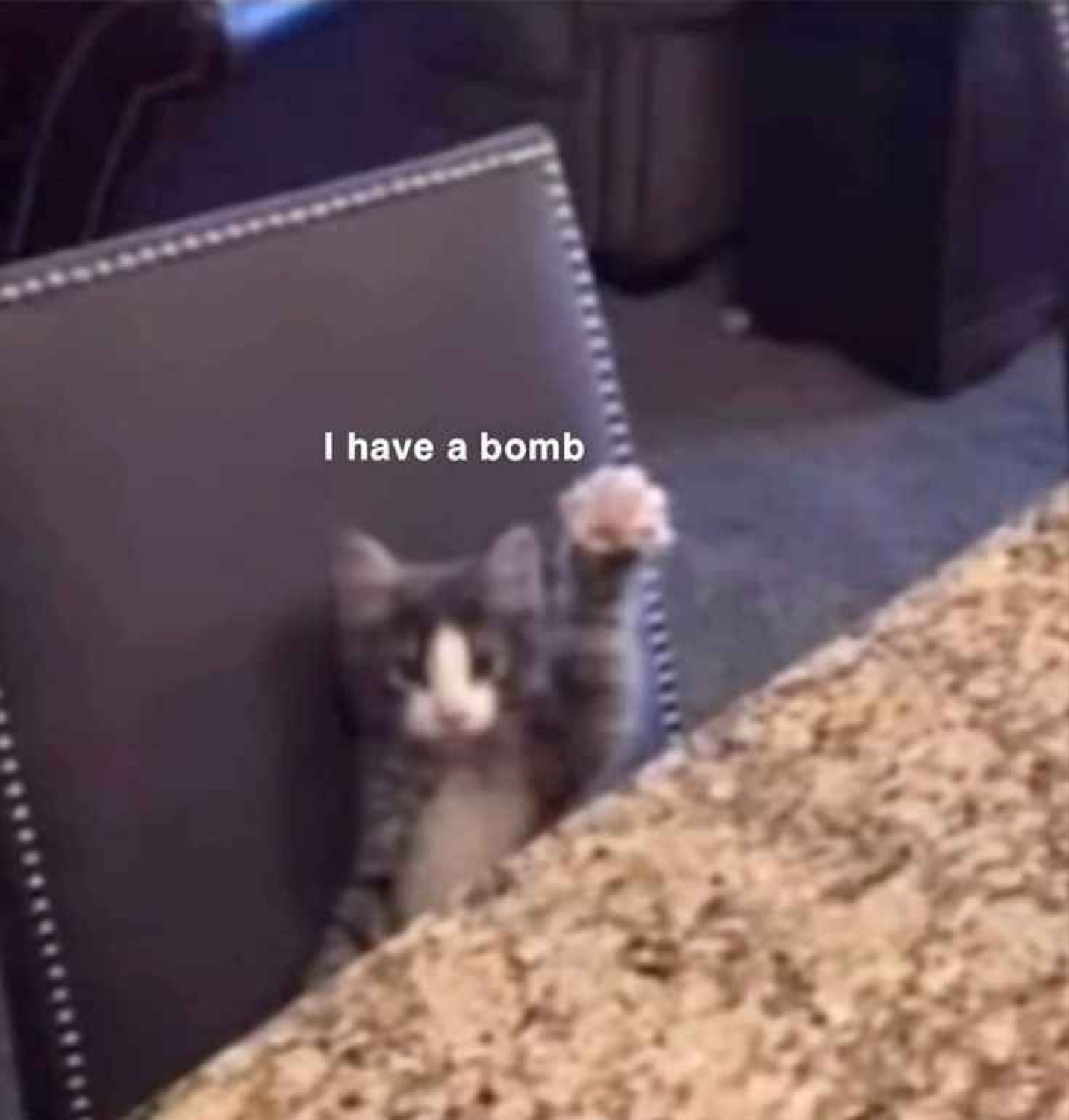 Kitten peeking over a chair with a raised paw captioned 'I have a bomb'