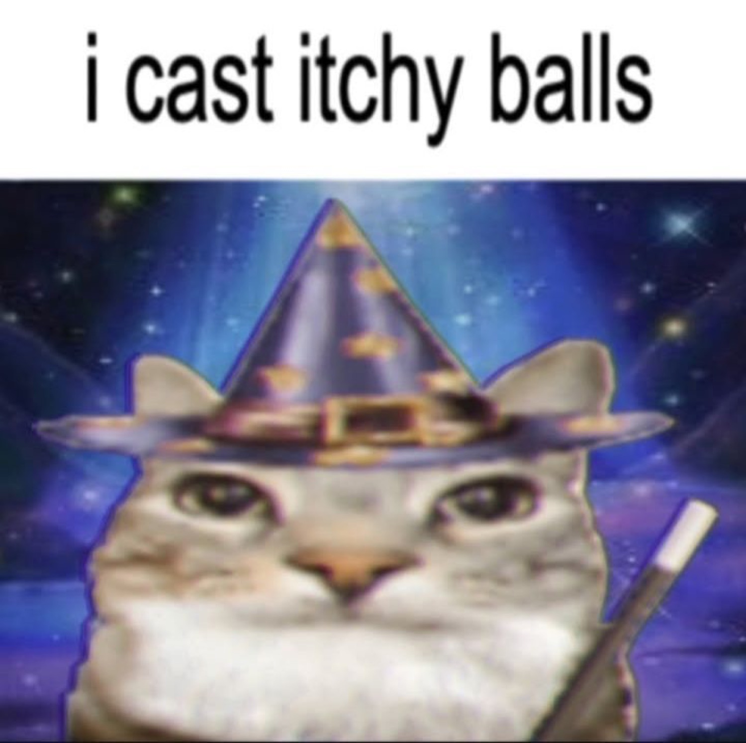 Wizard cat in a starry hat holding a wand, deadpan, captioned 'i cast itchy balls'