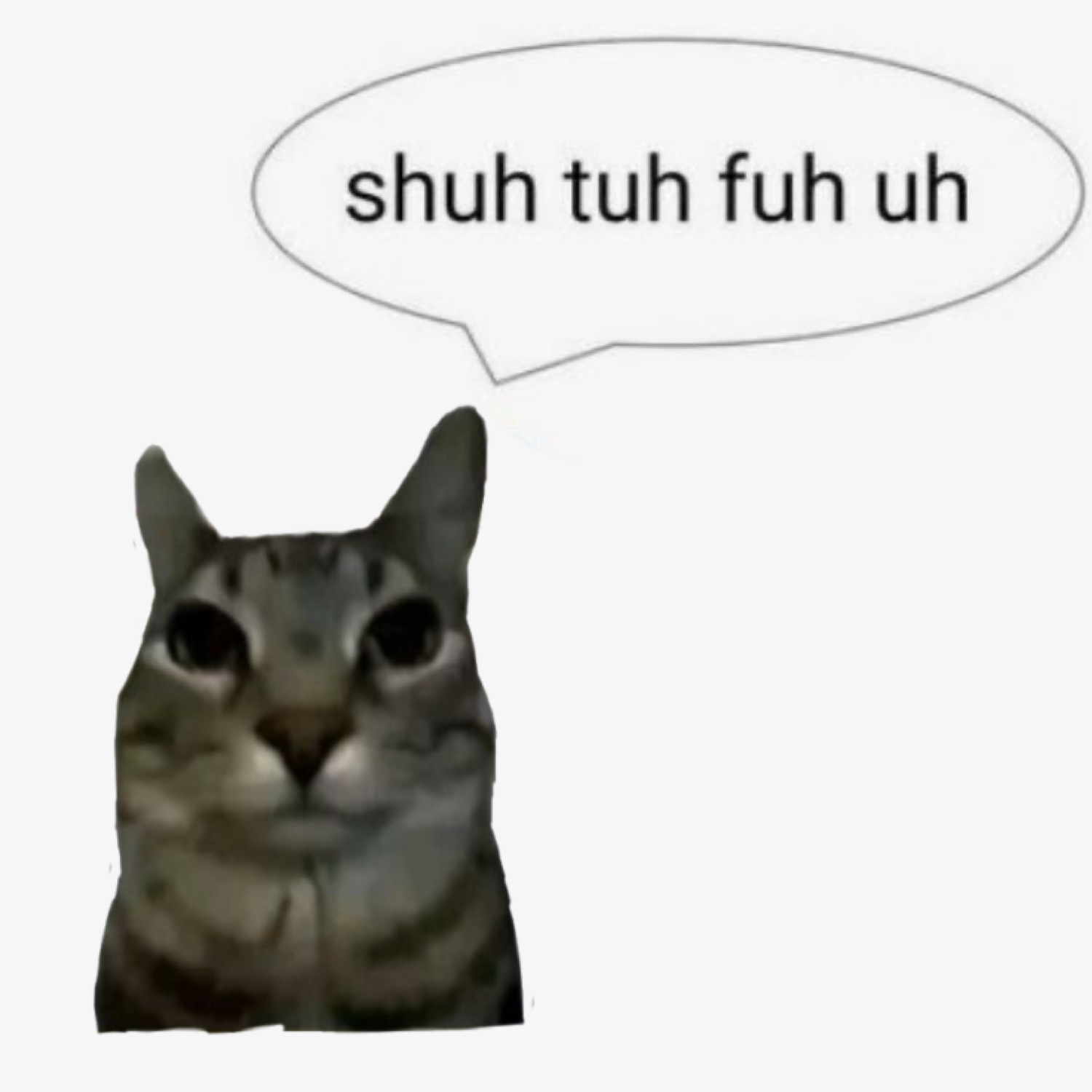 Tabby cat with a speech bubble saying 'shuh tuh fuh uh' looking completely done