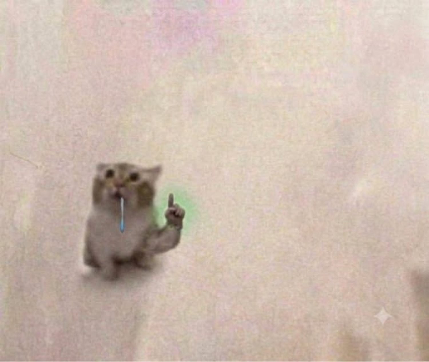 Tiny crying kitten pointing one paw up, tearful but making its point