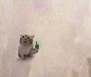 Tiny crying kitten pointing one paw up, tearful but making its point