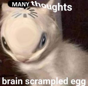 Blurry warped-face cat captioned 'MANY thoughts, brain scrampled egg'
