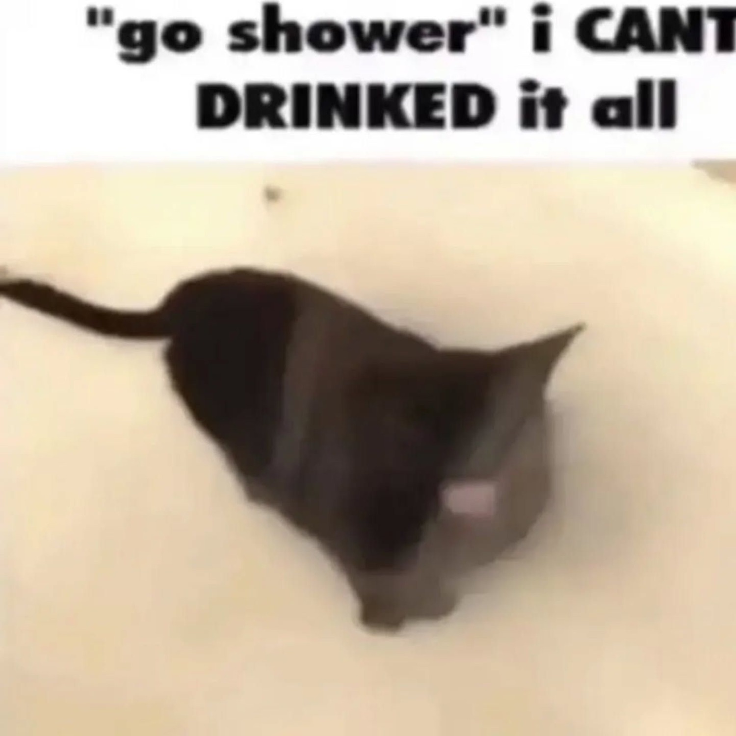 Melted-looking black cat blob captioned 'go shower i CANT DRINKED it all'