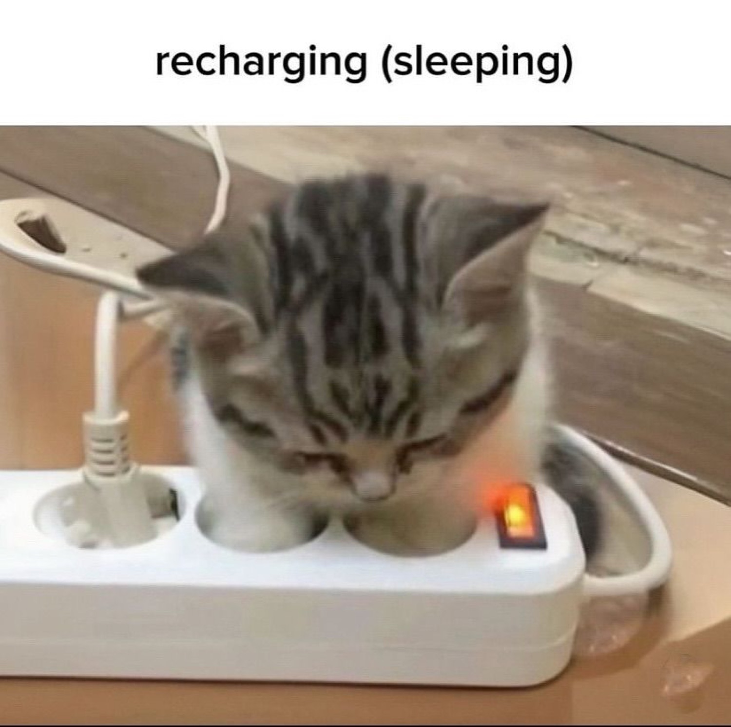 Sleepy kitten slumped over a power strip captioned 'recharging (sleeping)'