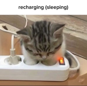 Sleepy kitten slumped over a power strip captioned 'recharging (sleeping)'