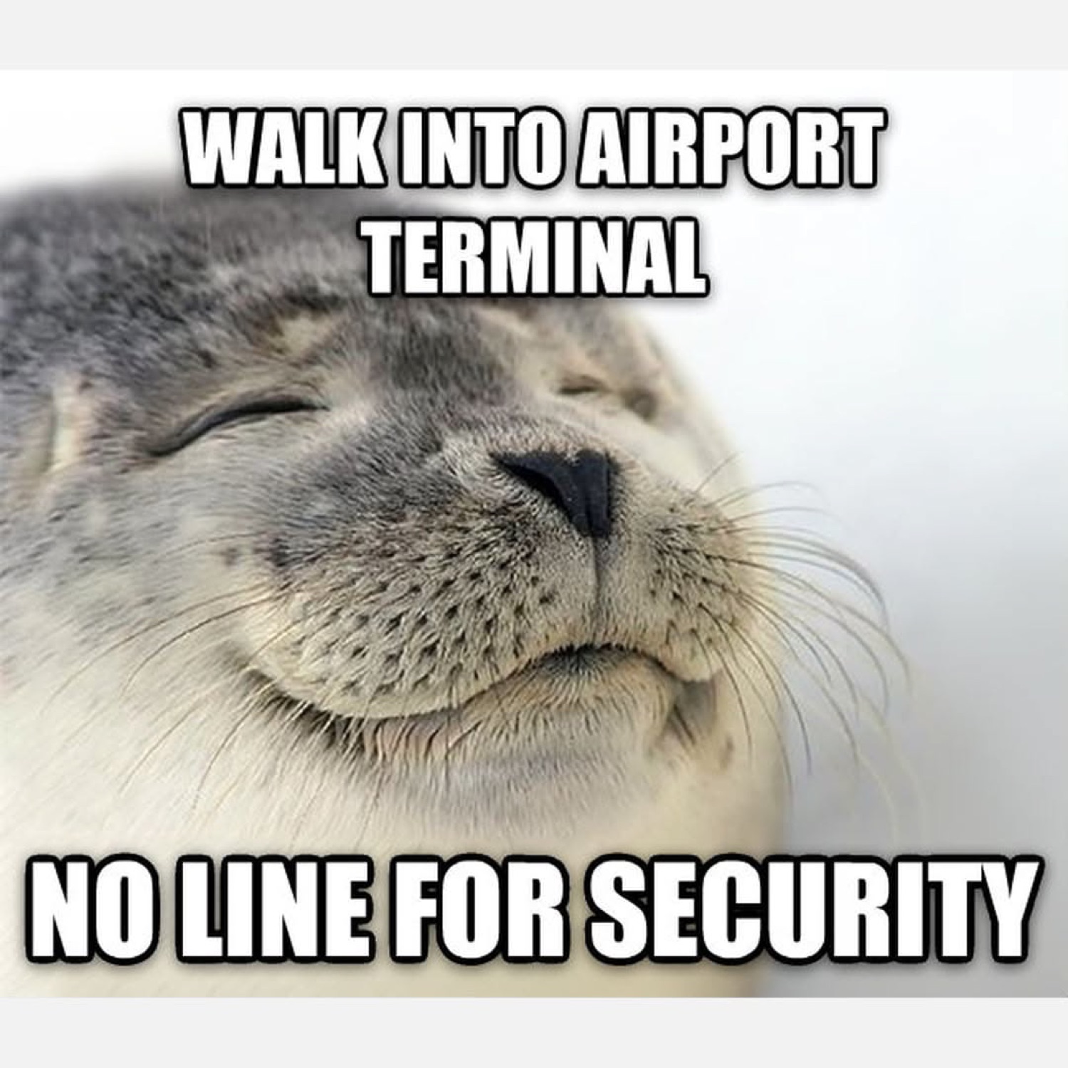 Satisfied seal: 'WALK INTO AIRPORT TERMINAL / NO LINE FOR SECURITY'