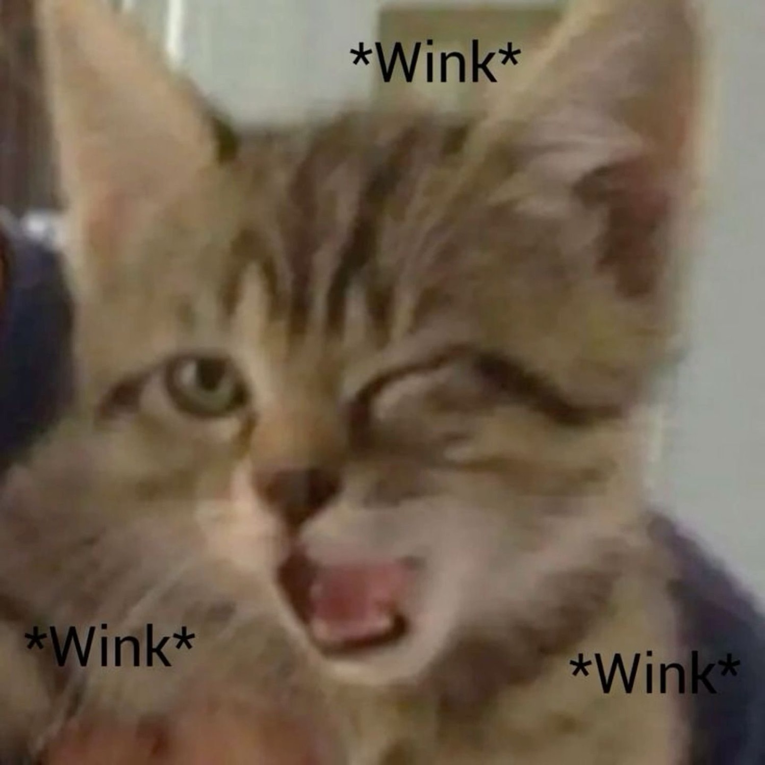 Tabby kitten with one eye closed mid-wink and mouth open, labeled *Wink* three times