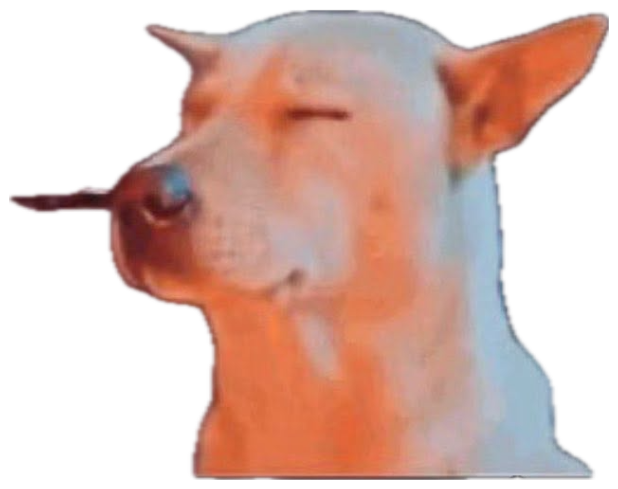 Dog gazing at a fire with eyes shut, captioned 'he remembers' under a wall of sob emojis sticker