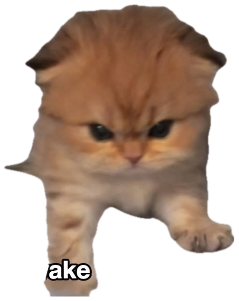 Grumpy fluffy orange kitten glaring forward on a star-print blanket, captioned 'awake but at what cost' sticker